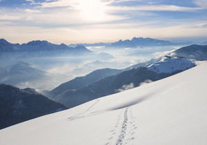 中南高科智能制造產(chǎn)業(yè)園