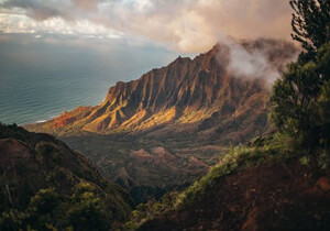 HPV感染并非女性“專屬”！武漢一高校醫(yī)院HPV疫苗男性接種開放預(yù)約