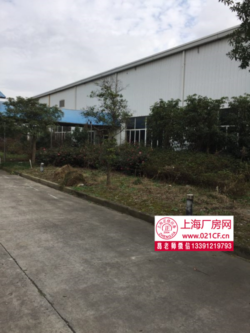  G1406 金山工業(yè)區(qū)單層廠房 高速出口 600平起租 單層帶噴啉 廠房倉庫出租