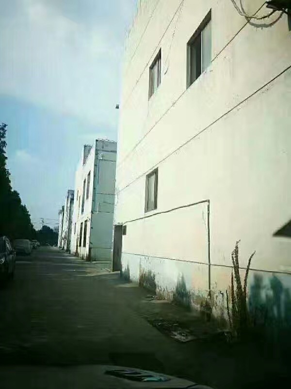 松江九亭 雙層廠房出售1895平/棟 單價(jià)8500到9000元