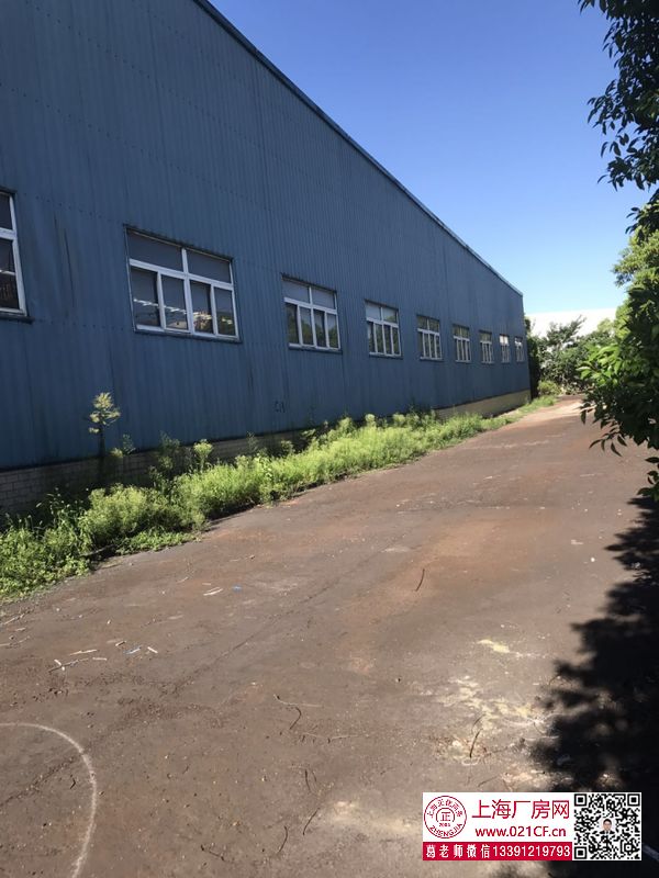 G1685 寶山區(qū)月楊工業(yè)園 春和路 單層可裝行車獨(dú)院1.27萬平方米廠房倉庫出租 可裝大噸位行車