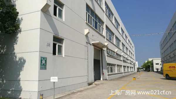 A8305 金山區(qū)松隱鎮(zhèn)松金公路獨(dú)院大面積廠房出租 1300平起租 價(jià)格優(yōu)惠