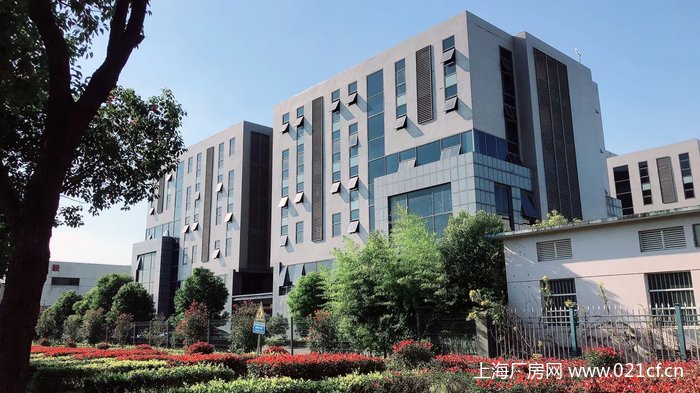 XA嘉定北開(kāi)發(fā)區(qū)104板塊廠(chǎng)房辦公研發(fā)樓出租 適合辦公、生物科技、新材料、醫(yī)療器械、研發(fā)實(shí)驗(yàn)室、電商、展廳等 