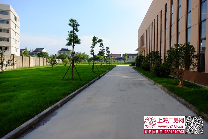 G1673 金山張堰工業(yè)園區(qū)單層多層廠房倉(cāng)庫(kù)出租  可分割出租