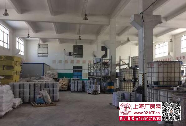 G1717浦東六灶 4800平獨棟廠房帶行車廠房倉庫出租  大房東直租 空地大