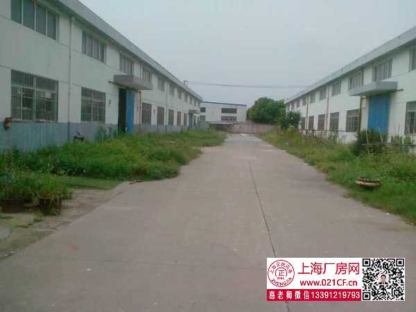 G1756 金山區(qū)漕涇鎮(zhèn)亭衛(wèi)公路單層廠房倉庫出租 可分租 0.65元起 丙類消防 104地塊可環(huán)評