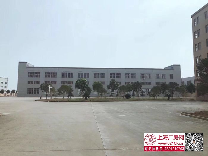 G1767 金山楓涇鎮(zhèn)建安路雙層廠房倉(cāng)庫(kù)出租 1000平起租 104地塊可環(huán)評(píng) 無(wú)稅收要求