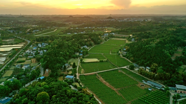 綿陽涪城:打造一流發(fā)展環(huán)境提升縣域經(jīng)濟“硬實力”