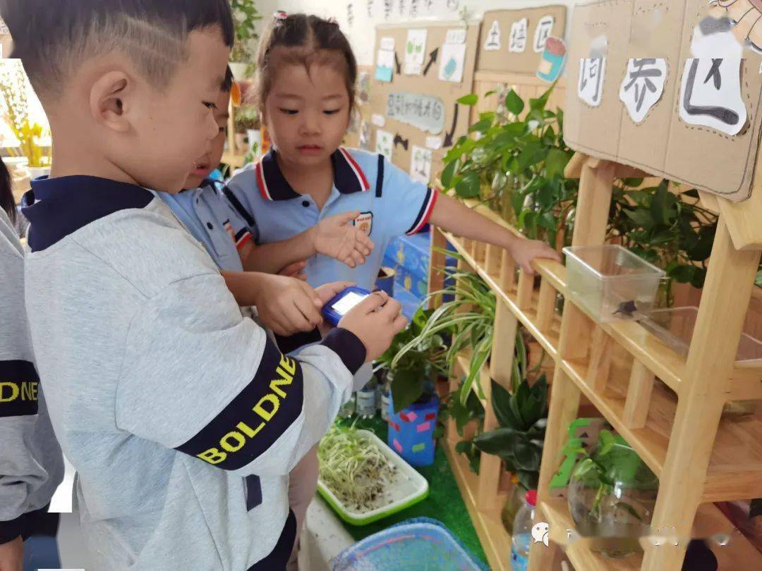 小烏龜你好！——開發(fā)區(qū)中南熙悅幼兒園班本課程敘事