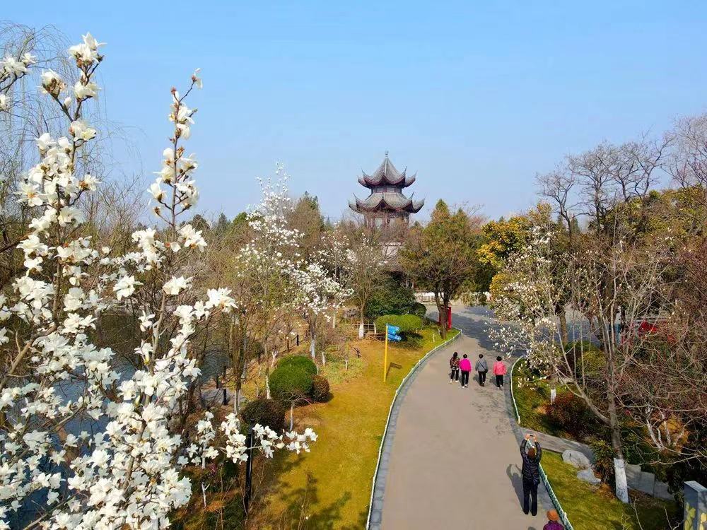 推進產(chǎn)業(yè)結(jié)構(gòu)調(diào)整！壯士斷腕后徐州銅山能否涅槃迎新生？